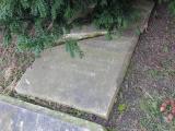 image of grave number 295970
